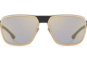 Ｐｕｒｅ Ｅｌｅｍｅｎｔｓ