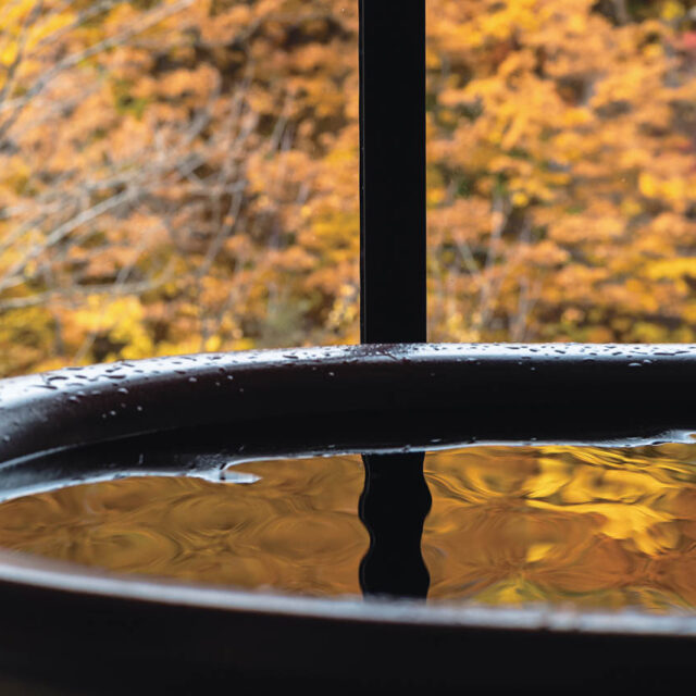 札幌の奥座敷で 大人の “巣ごもり”リゾートを