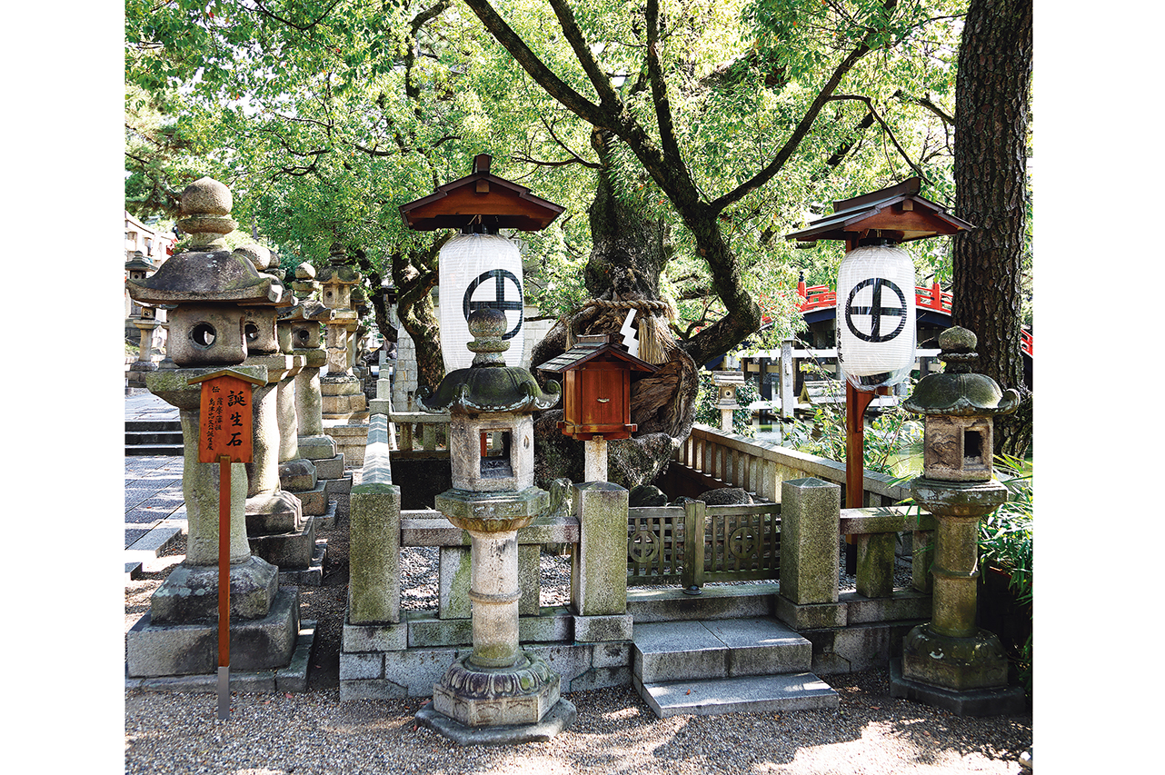 丹後局出産の地