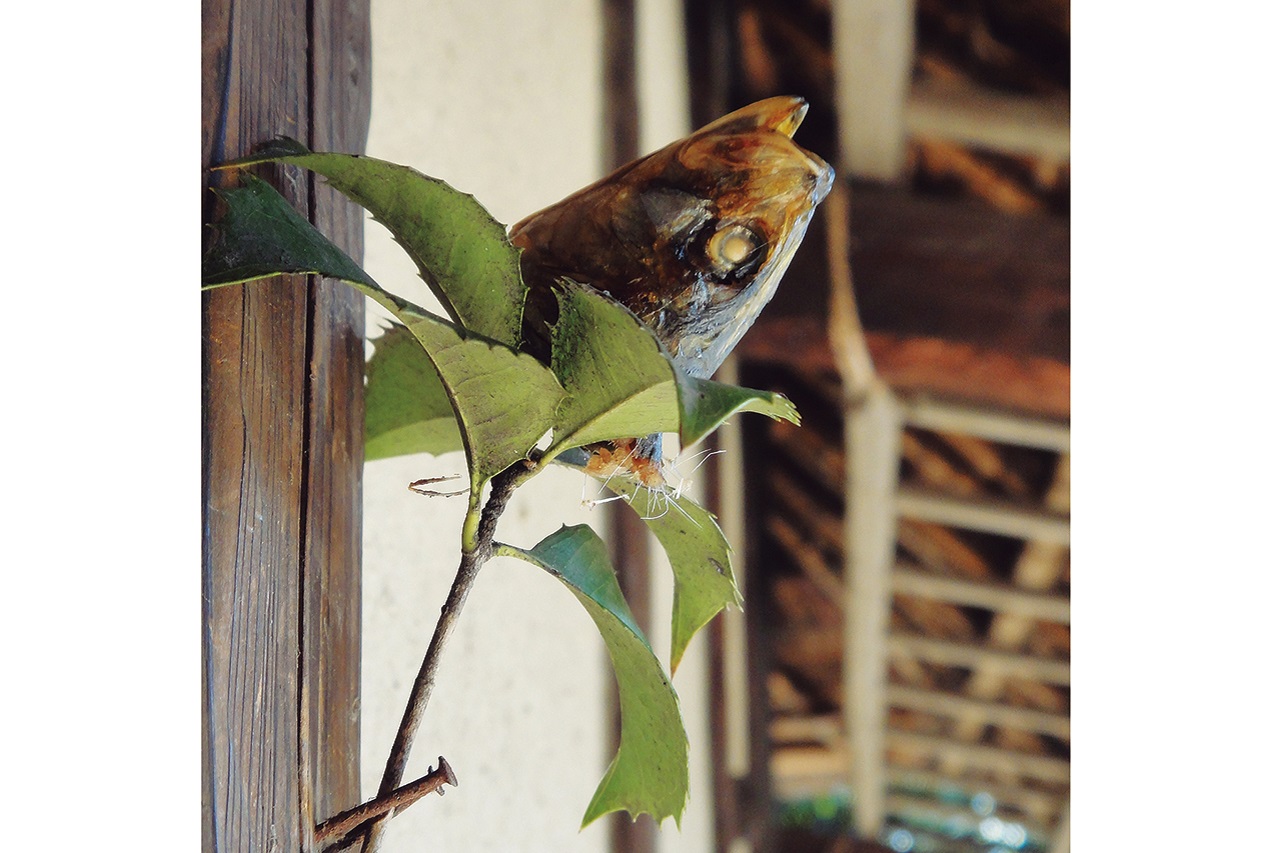 食後の心 第46回