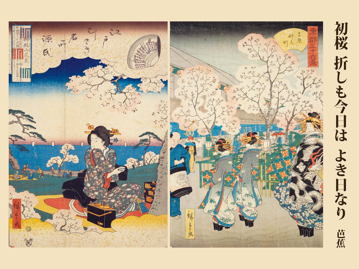 (左)広重『江戸むらさき名所源氏御殿山花見 見立花の宴』江戸紫名所源氏、国立国会図書館デジタルコレクション(右)広重『吉原仲之町』東都三十六景、相ト、国立国会図書館デジタルコレクション