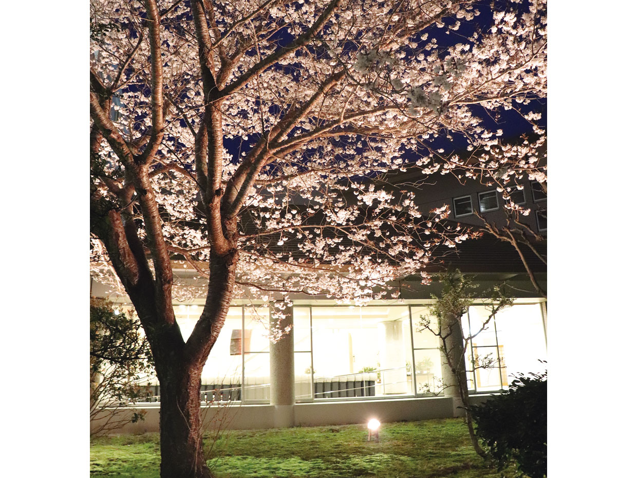 ラビドール御宿。リゾート感あふれるホーム