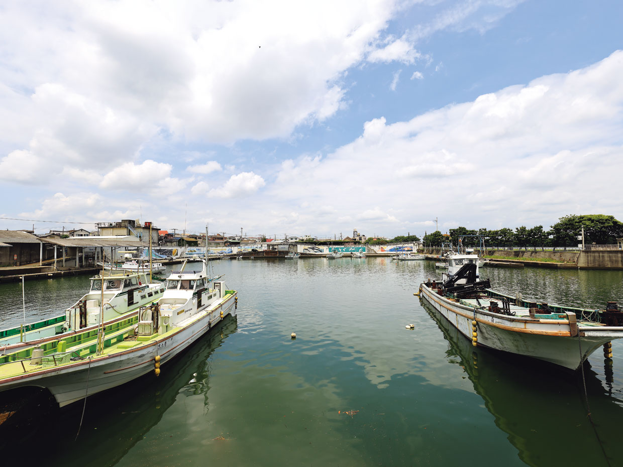 ひらつかタマ三郎漁港