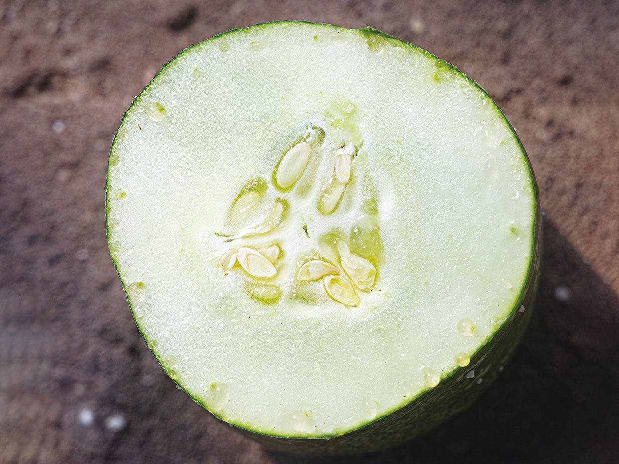 採れたての断面からは、みずみずしさが伝わってくる