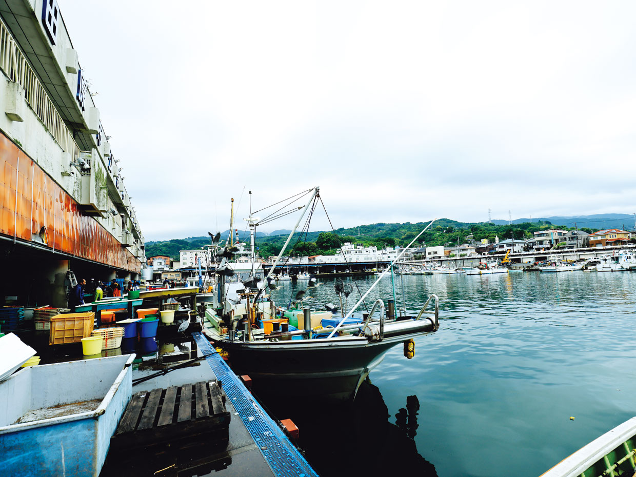 小田原漁港