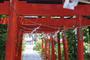 稲荷大神をまつる尾曳稲荷神社