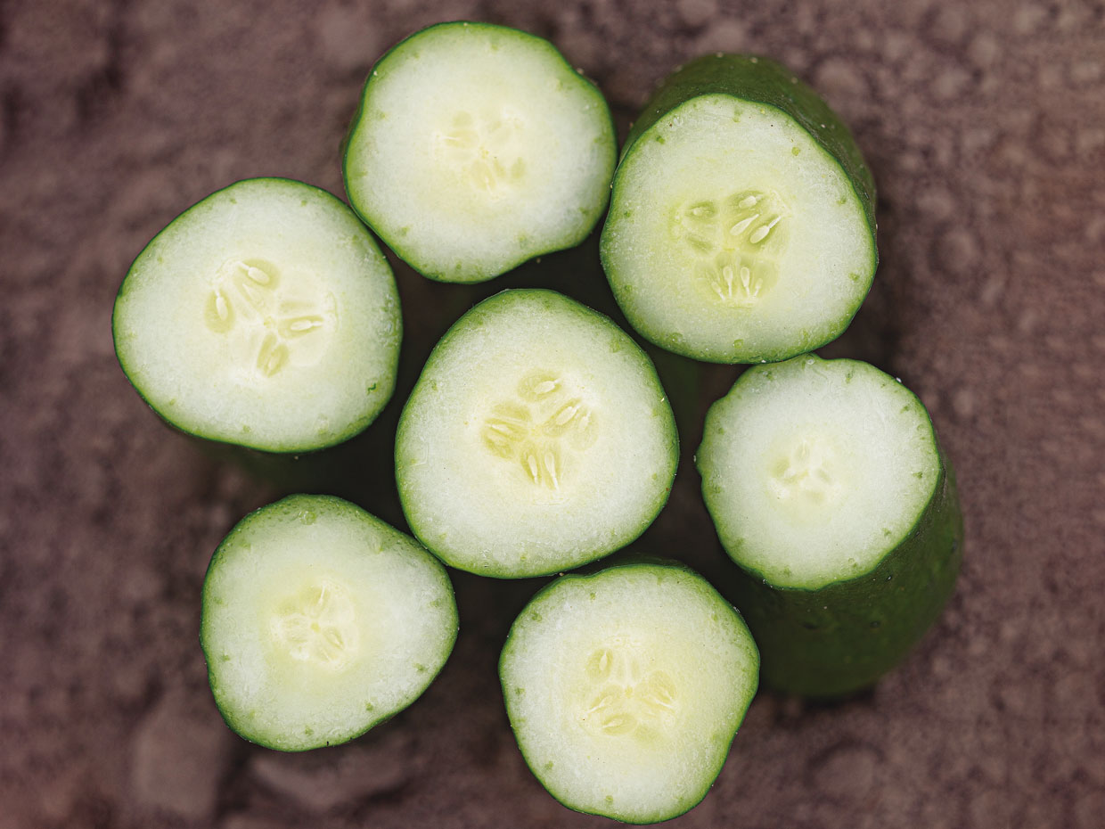 断面の表情も、一本ずつ異なる