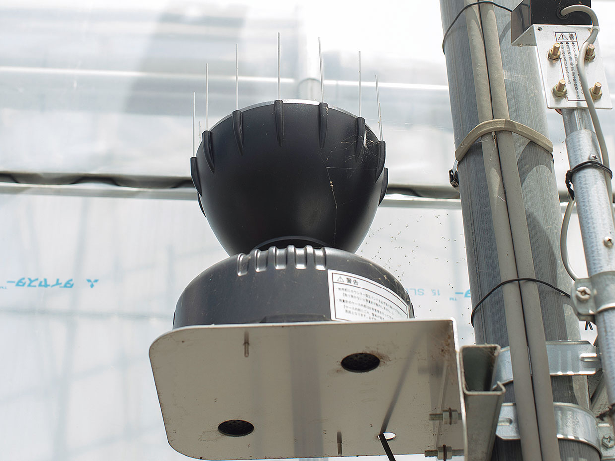 機械のセンサーが雨を感知すると、ハウスの天窓が自動で閉じる