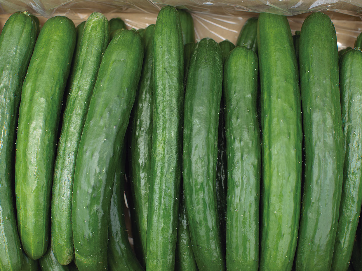 群馬県のきゅうり生産量は全国2位