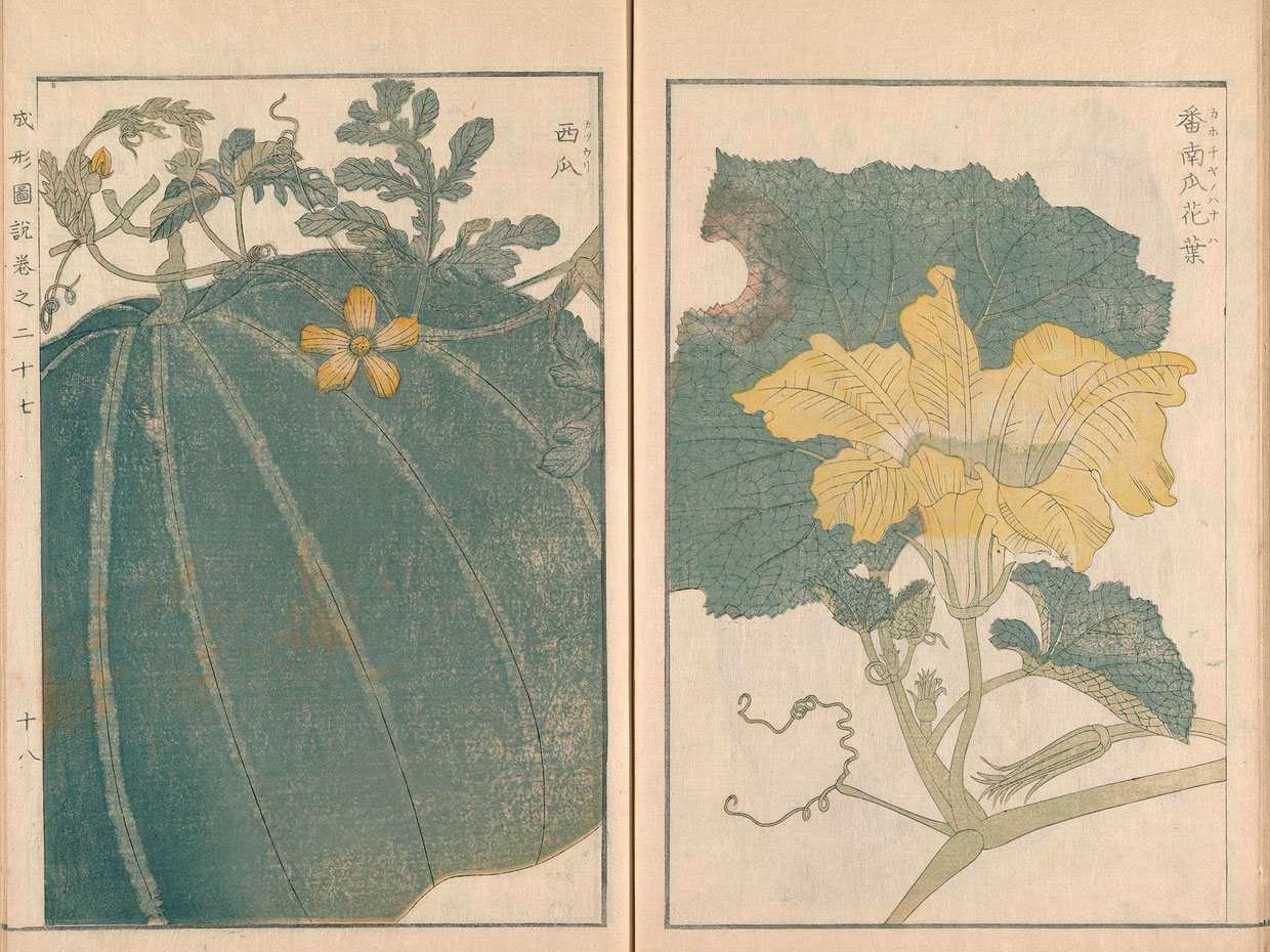 『成形圖説』曽槃、白尾國柱（ほか編）