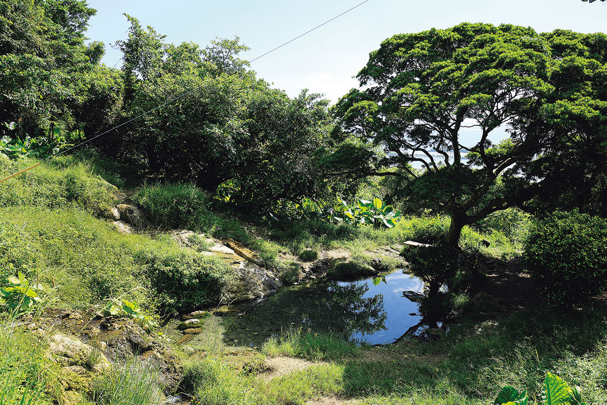 沖縄、垣花樋川