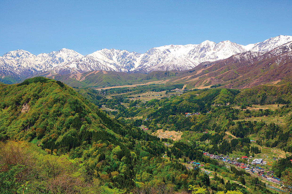 食語の心 第117回 柏井 壽