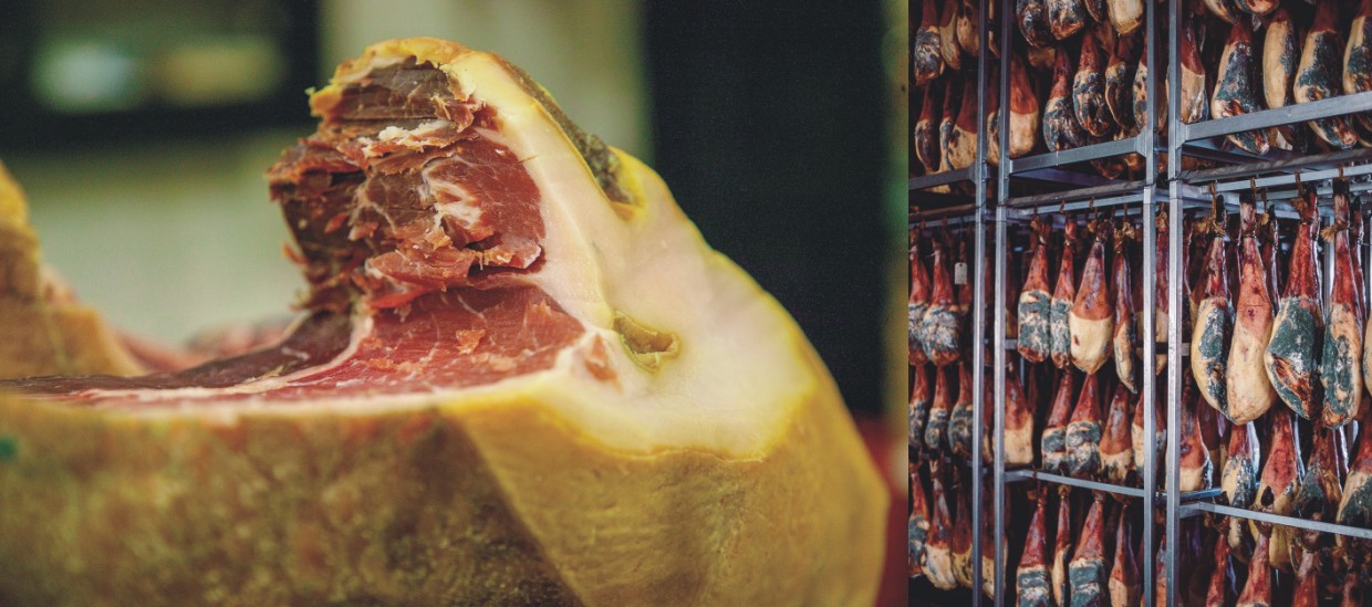 El hermoso mundo del Jamón Ibérico (1)