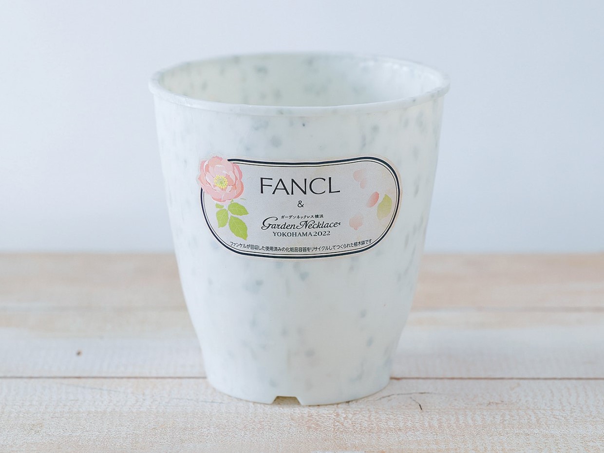 SDGs企業、ファンケル、世の中の「不」を解消するために