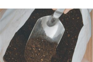 おいしいはサステナブル