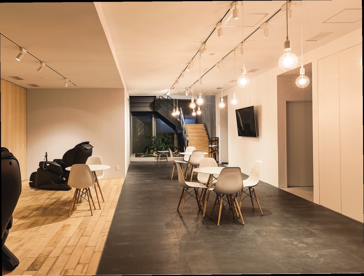 NLC 野中腰痛クリニック、椎間板の再生