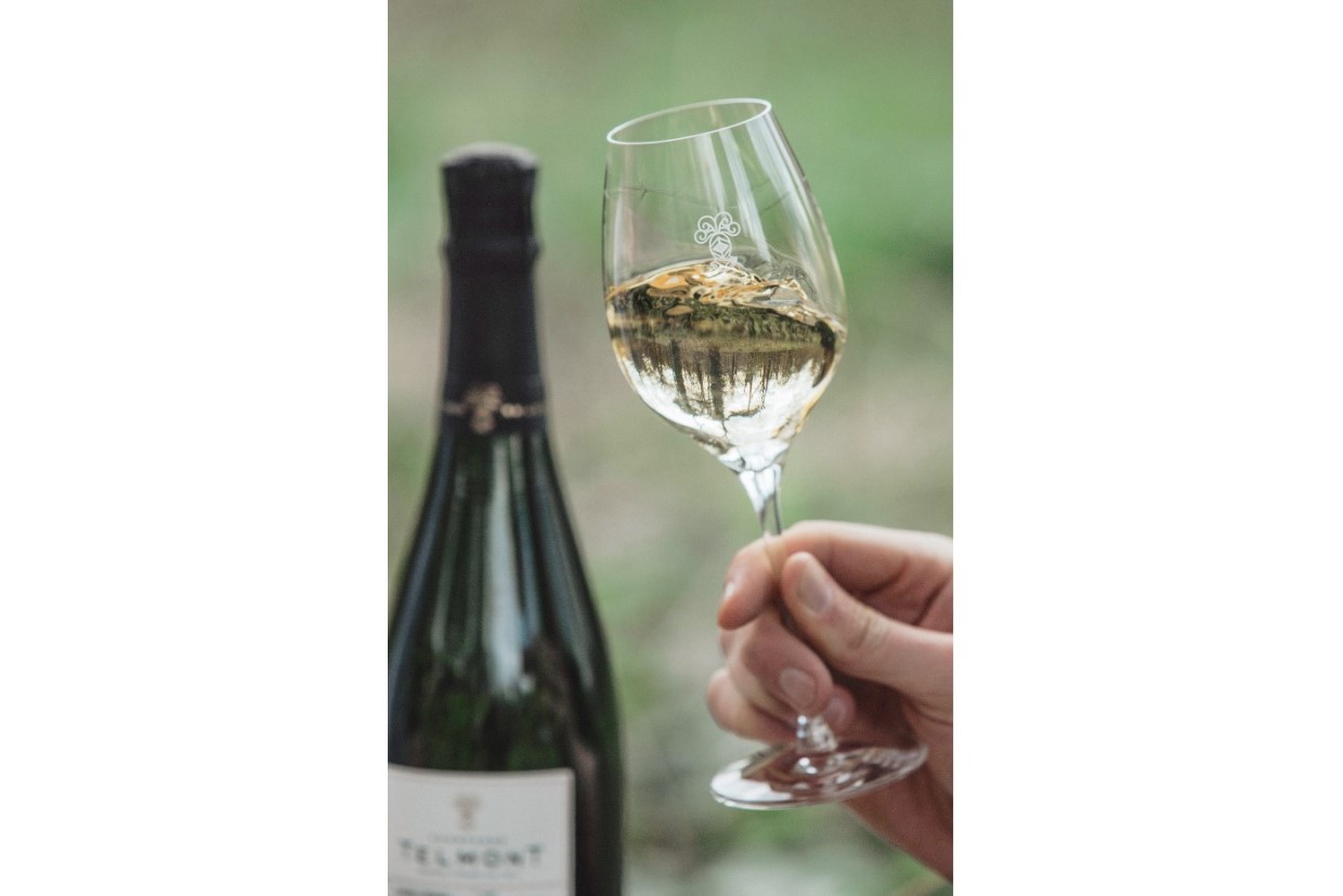 SDGs×企業 第25回、テルモン、19万3000色のグリーン