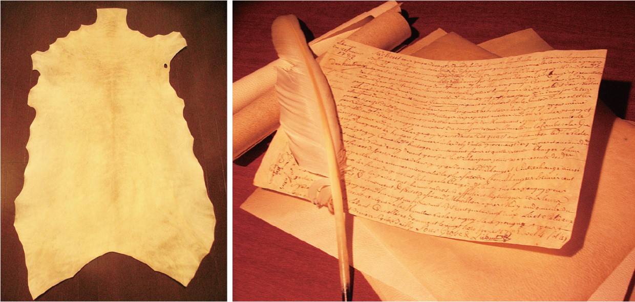 羊特集、余すところなし！頼れるヒツジ