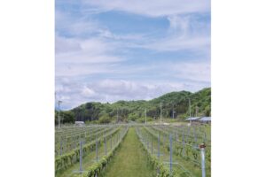 ワインが紡ぐ東北と秋保の物語、秋保ワイナリー