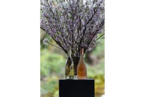 ノンアルコールビバレッジ「NOOH」のラグジュアリーなローンチ