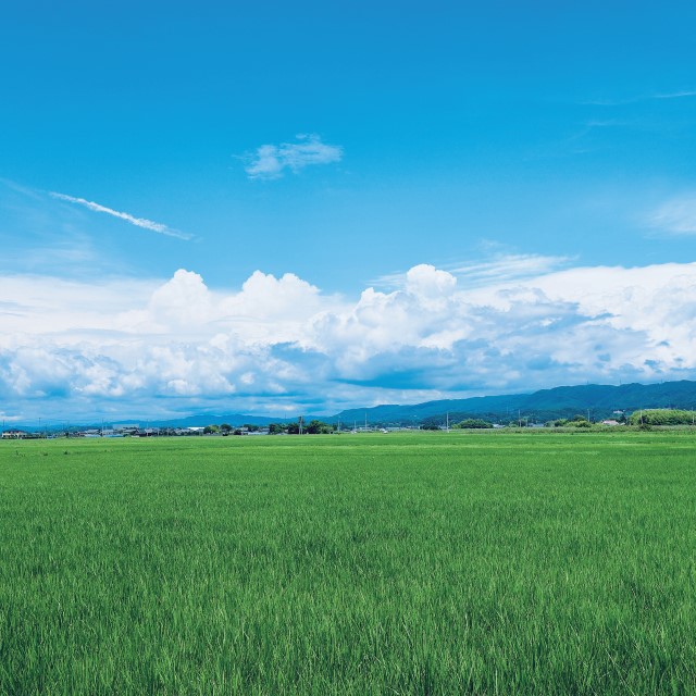 地域の未来をともに創る