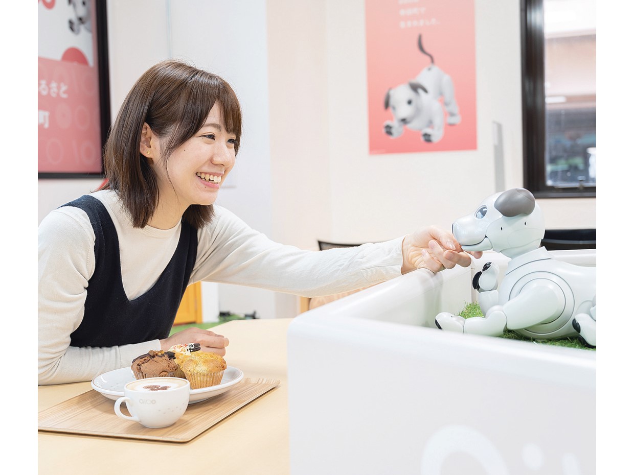 魅力あふれるaiboのふるさと、愛知県幸田町