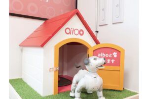 魅力あふれるaiboのふるさと、愛知県幸田町