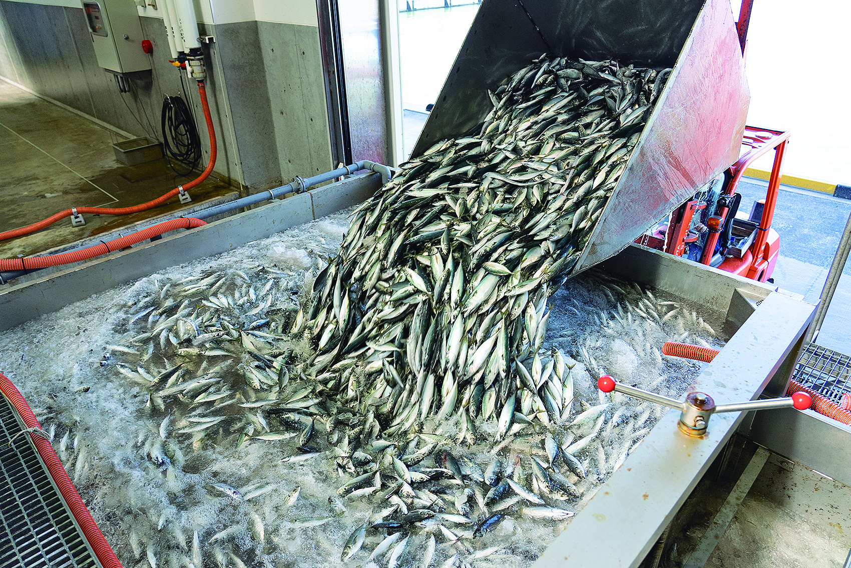 日本一を誇るアジフライの聖地