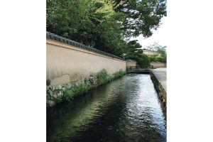 井戸という迷宮水に宿る古都の記憶