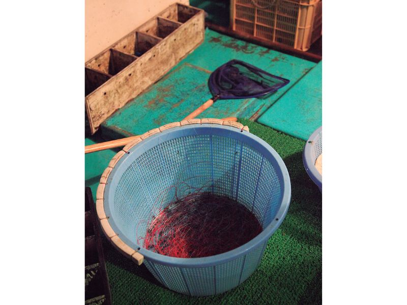 豊後水道一本釣りにこだわる漁師たちがいる