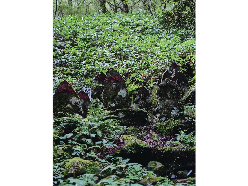 雪代水が育むカキ 宮城・気仙沼