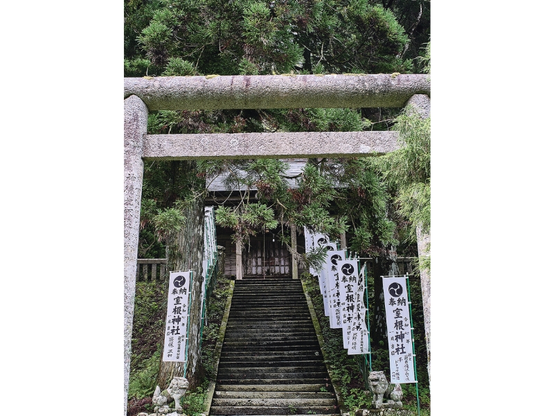 雪代水が育むカキ 宮城・気仙沼