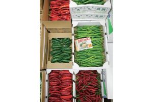 時今浪花賑活気あふれる天下の台所