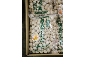 時今浪花賑活気あふれる天下の台所