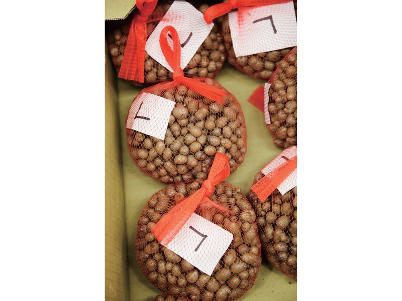 時今浪花賑活気あふれる天下の台所