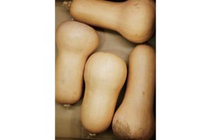 時今浪花賑活気あふれる天下の台所