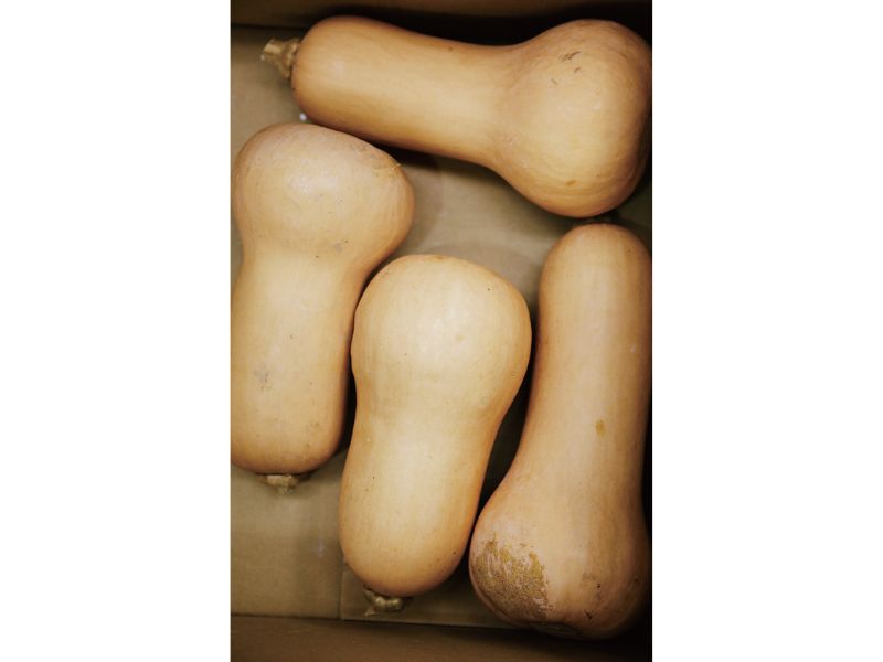 時今浪花賑活気あふれる天下の台所