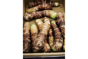 時今浪花賑活気あふれる天下の台所