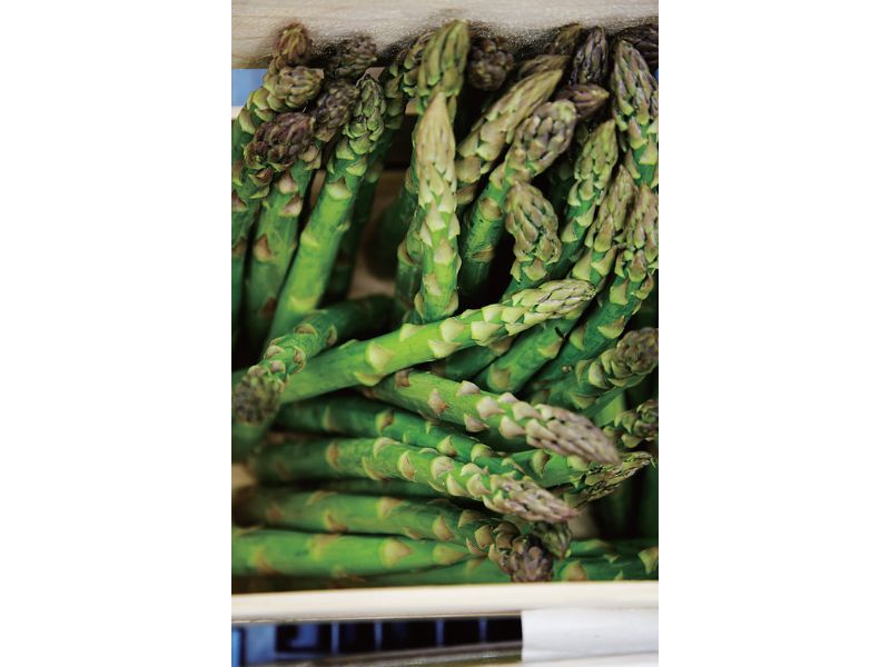 時今浪花賑活気あふれる天下の台所