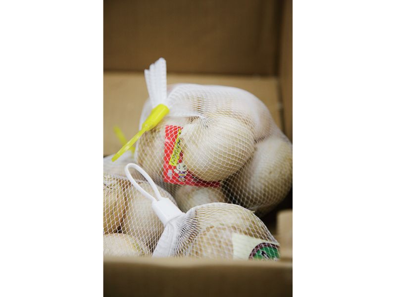 時今浪花賑活気あふれる天下の台所