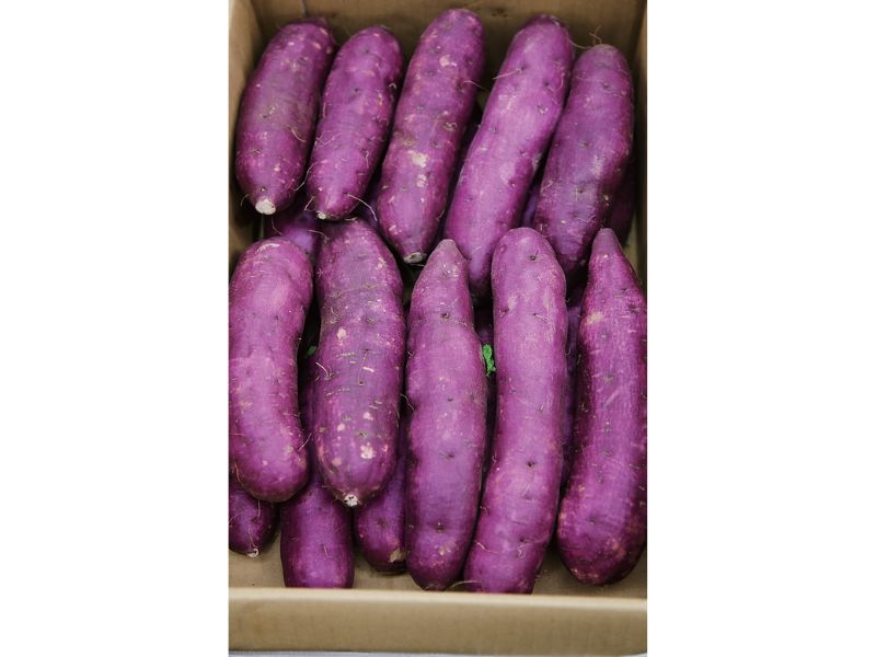 時今浪花賑活気あふれる天下の台所