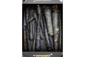 時今浪花賑活気あふれる天下の台所