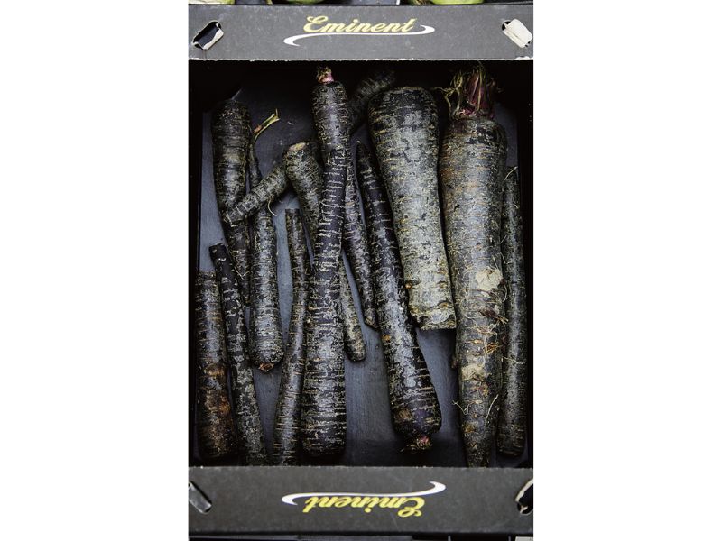 時今浪花賑活気あふれる天下の台所