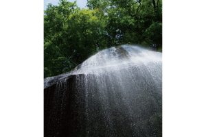 東北緑色革命太古の森、その原風景を探す