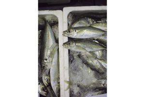 最西端の島、福江鬼門と繁栄