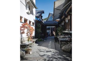 京都・五条の登り窯