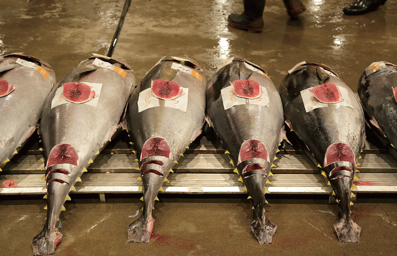 時今浪花賑活気あふれる天下の台所