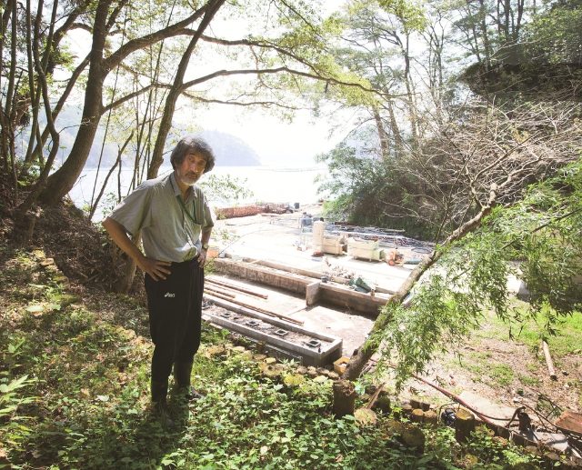 東北緑色革命風景の力、土地の力