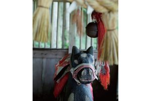 東北緑色革命自在房蓮光が開いた平安時代の荘園