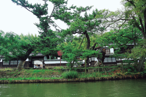 不昧公の松江・数寄者
